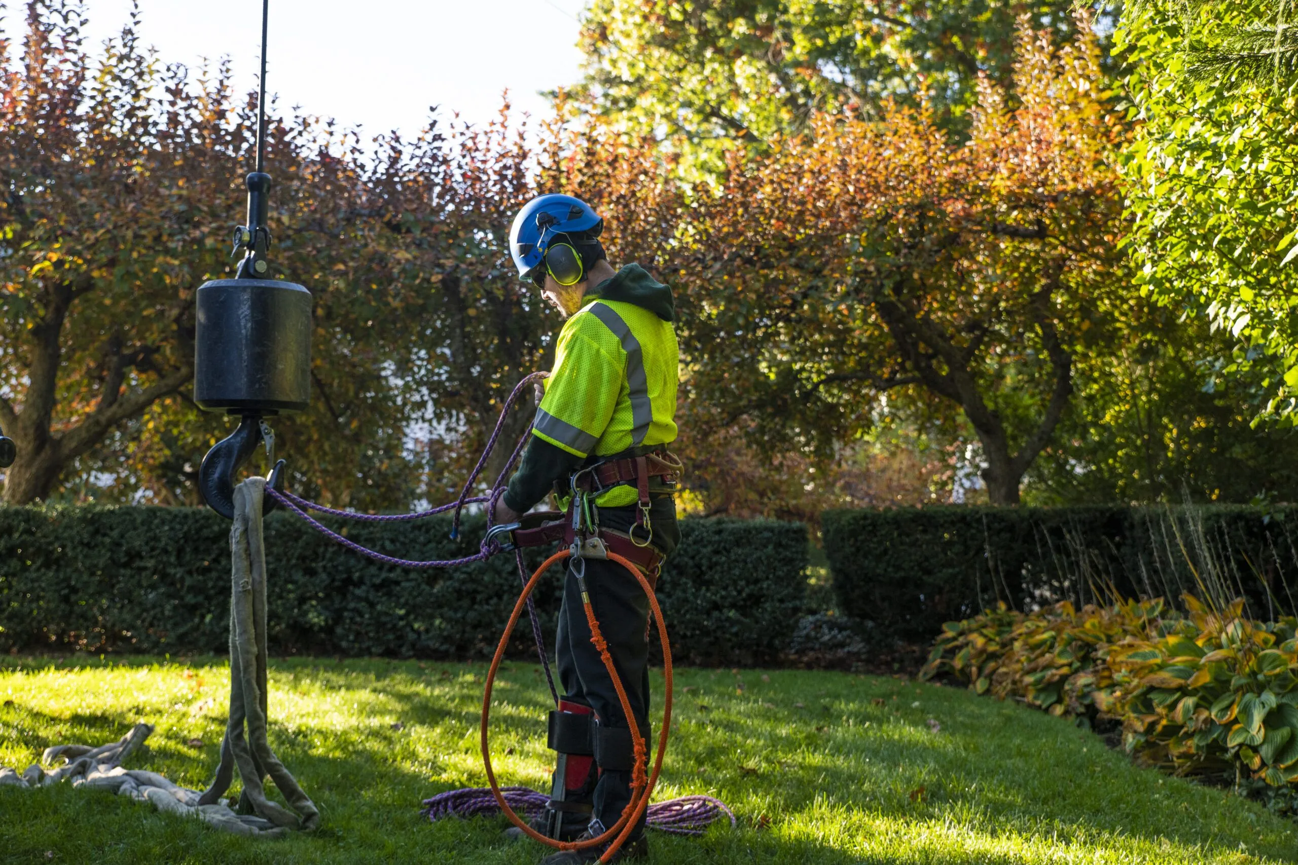 How Tree Removal Can Improve Curb Appeal for Homes and Businesses